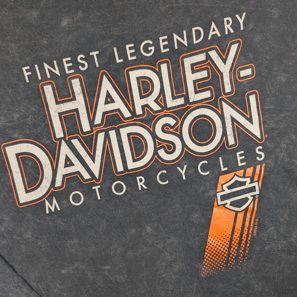 Harley-Davidson Shirt Mens XL Gray Mineral Wash Double Sided Graphic Biker - Picture 3 of 10